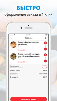zbs pizza | Бердск iphone images 3