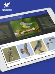 les oiseaux 2 pro - usa iPad Captures Décran 1