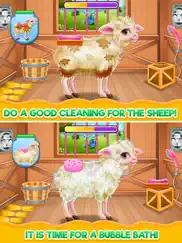 baby sheep care ipad images 2