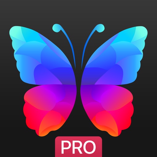 Everpix Pro - HD Wallpapers app reviews download