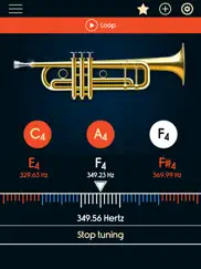 trumpet tuner ipad images 3