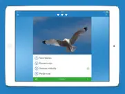 aves pro hd ipad capturas de pantalla 4
