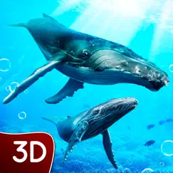 hump back whale ocean sim logo, reviews