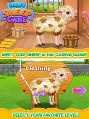 baby sheep care ipad images 1