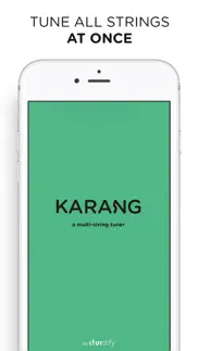 afinador de guitarra - karang iphone capturas de pantalla 1