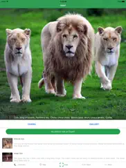 animalsnap - identify animals ipad capturas de pantalla 1
