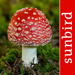 mushroom id north america logo, reviews