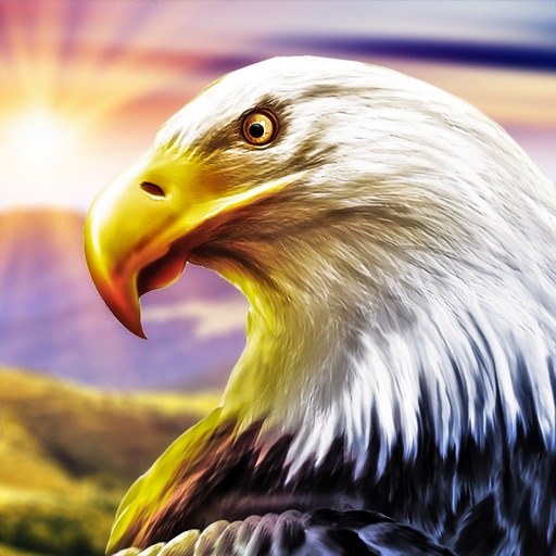 Eagle Bird Family Simulator app reviews download