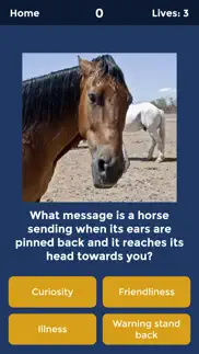 horse quiz by haygrazer iphone images 2