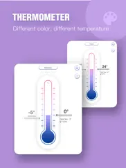 Точный термометр айпад изображения 1