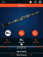 clarinet tuner ipad images 1