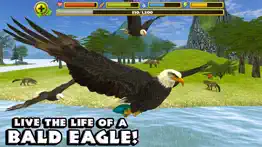 eagle simulator iphone images 1