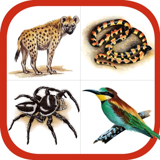Wildlife Southern Africa app reviews download