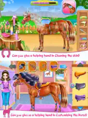 horse care and riding ipad images 3