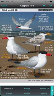 ibird uk pro guide to birds iphone images 2