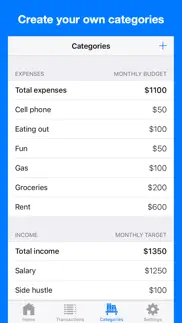 cash flow planner iphone images 3