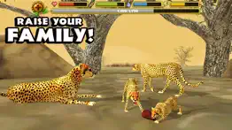 cheetah simulator iphone images 4