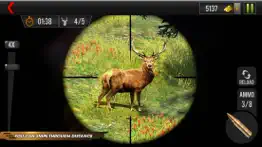 deer hunting wild animal shoot iphone images 2