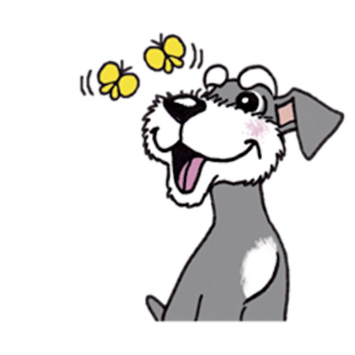 Cute Miniature Schnauzer Dog app reviews download