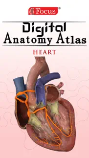 heart - digital anatomy iphone images 1