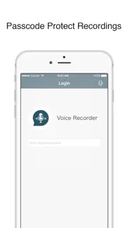 voice recorder - record audio iphone images 4