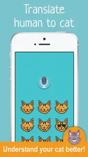 how to talk to cats cat translator iphone images 1