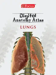 lungs - digital anatomy ipad images 1