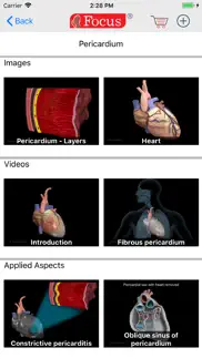 heart - digital anatomy iphone images 3
