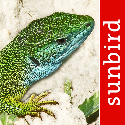 Reptile Id - UK Field Guide app reviews download