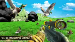 duck hunting animal shooting iphone images 2