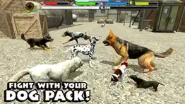 stray dog simulator iphone resimleri 2