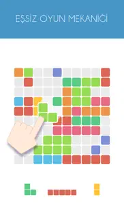 1010! block puzzle game iphone resimleri 1