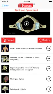 back and spinal cord iphone images 2