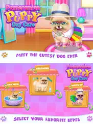 pomeranian puppy day care ipad images 1