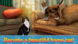 house cat city survival sim iphone images 1