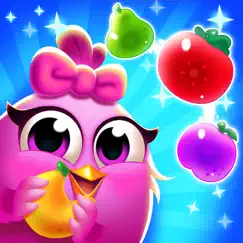 chicken fruit splash logo, reviews