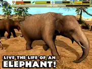 elephant simulator ipad images 1