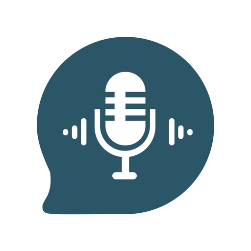 Voice Recorder - Record Audio app reviews download