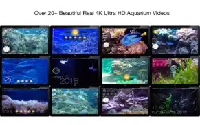 aquarium 4k - live wallpaper iphone images 4