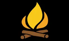 digital fireplace logo, reviews