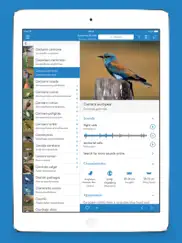 aves pro hd ipad capturas de pantalla 3