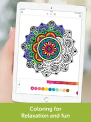 coloring book: mandala, pixel ipad images 1