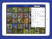 iknow birds pro - usa ipad capturas de pantalla 2