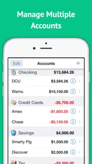 checkbook ledger iphone images 3