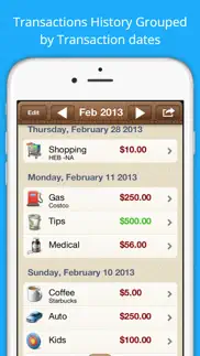 easy expenses tracker iphone images 2