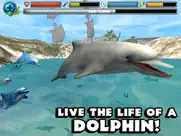 dolphin simulator ipad resimleri 1