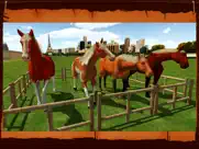 horse show jumping challenge iPad Captures Décran 3