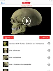 head and neck ipad images 2