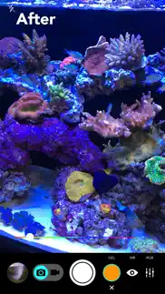 aquarium camera iPhone Captures Décran 2