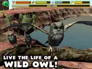 owl simulator ipad resimleri 1